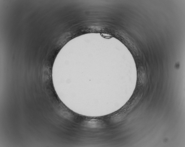 X0000116460467201001201304