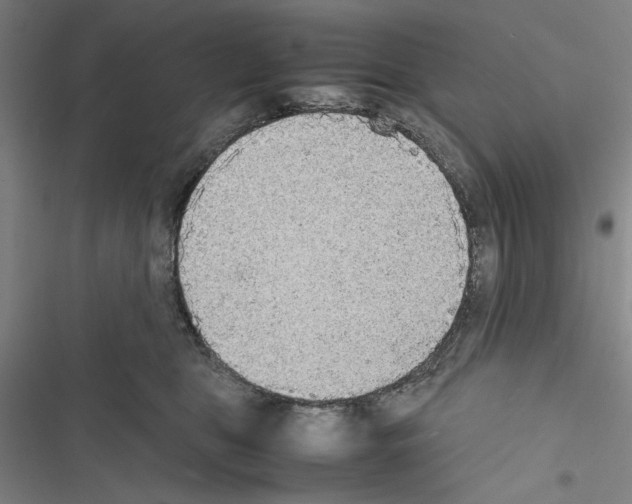 X0000116460469201001201304