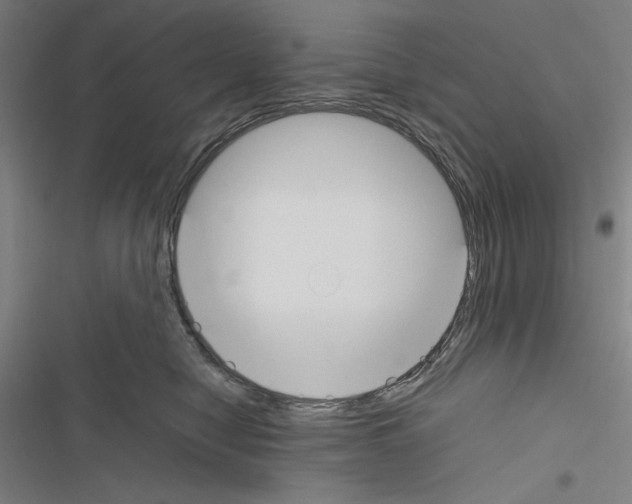 X0000116460470201001201304