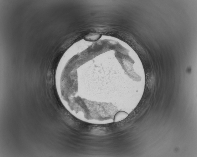X0000116460471201001201304