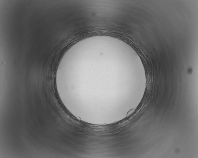 X0000116460472201001201304