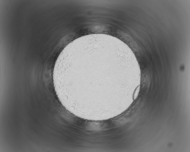 X0000116460473201001201304