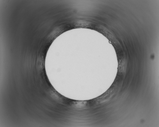 X0000116460474201001201304