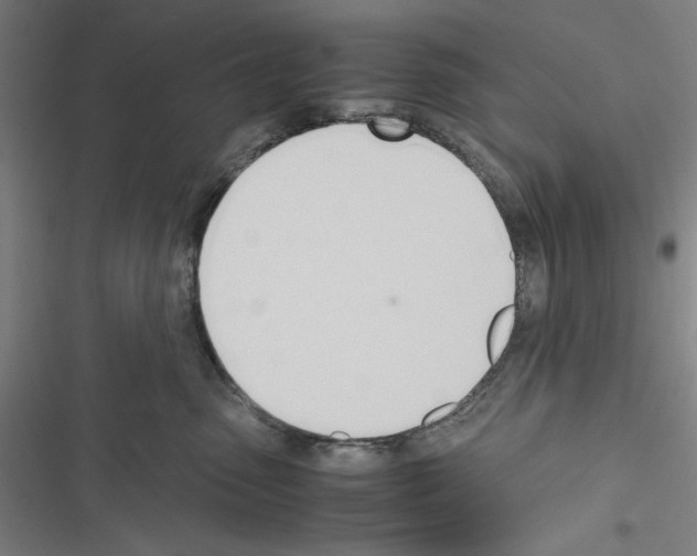 X0000116460475201001201304