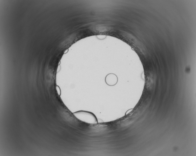 X0000116460476201001201304