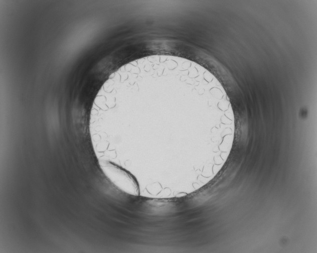 X0000116460477201001201304