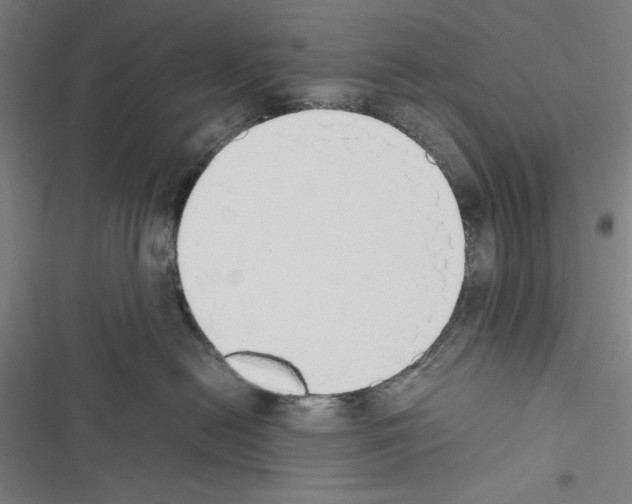 X0000116460478201001201304