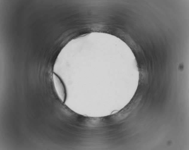 X0000116460479201001201304