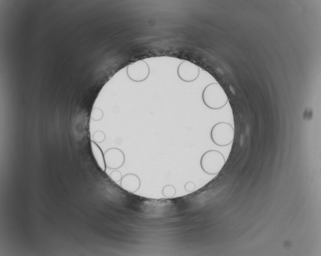 X0000116460480201001201304