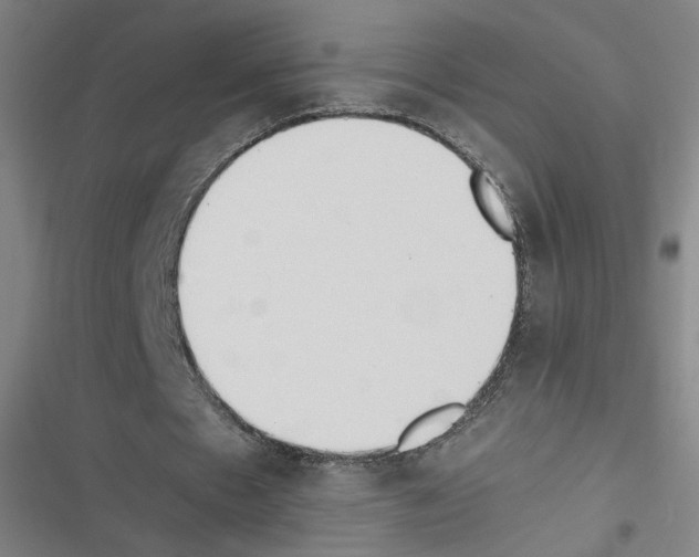 X0000116460481201001201303