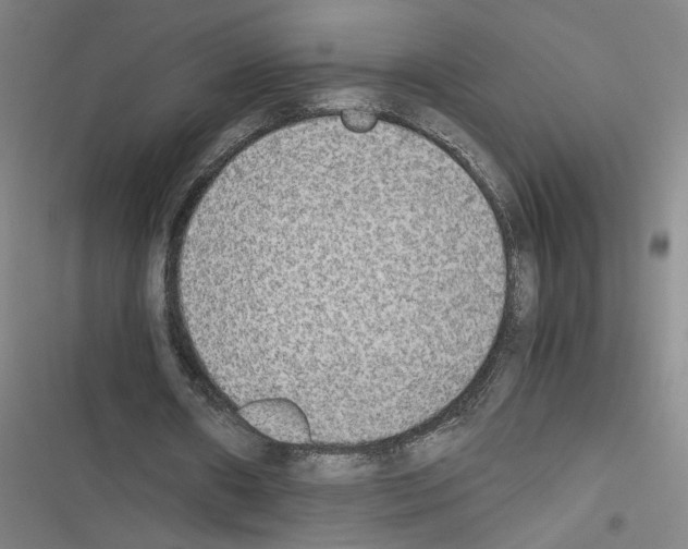 X0000116460482201001201303