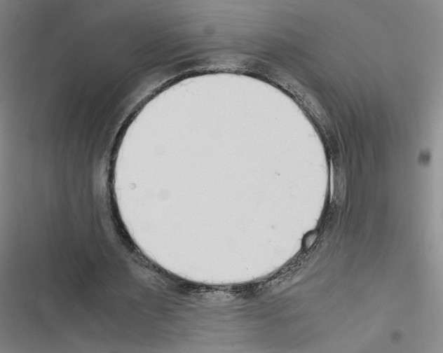 X0000116460483201001201303