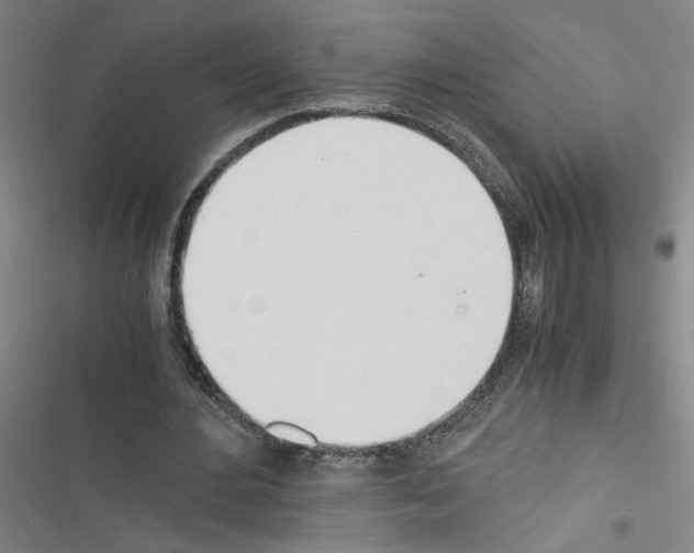 X0000116460484201001201303