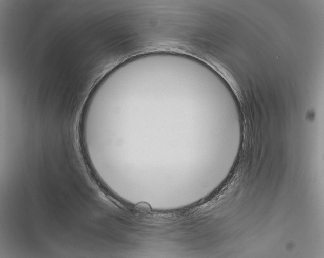 X0000116460485201001201303