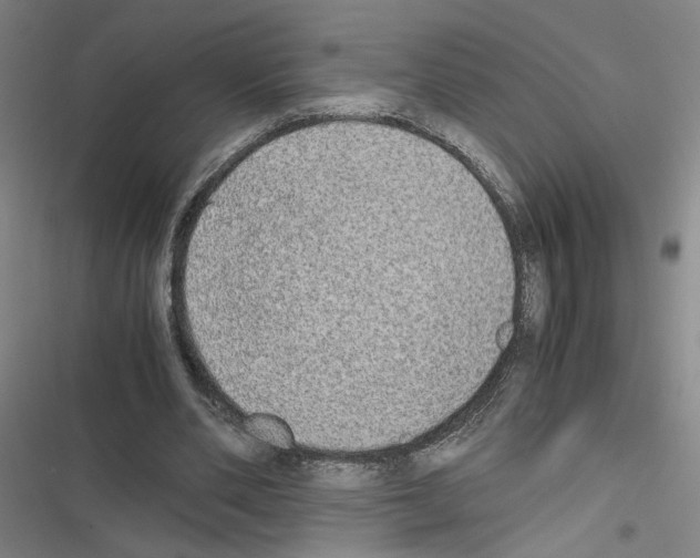 X0000116460486201001201303