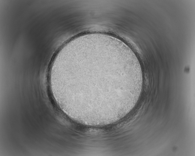 X0000116460487201001201303