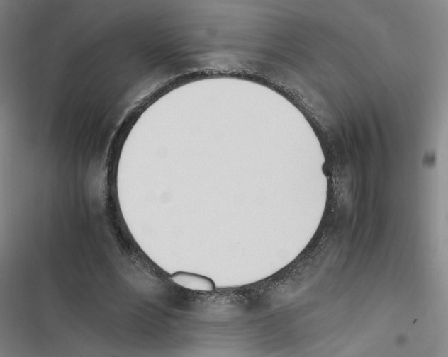 X0000116460488201001201303