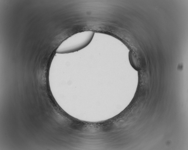 X0000116460489201001201303