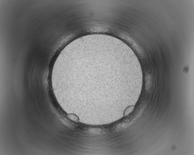 X0000116460490201001201303