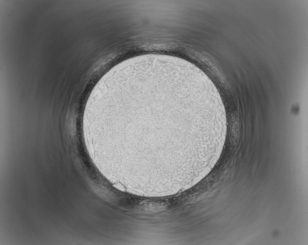 X0000116460491201001201303