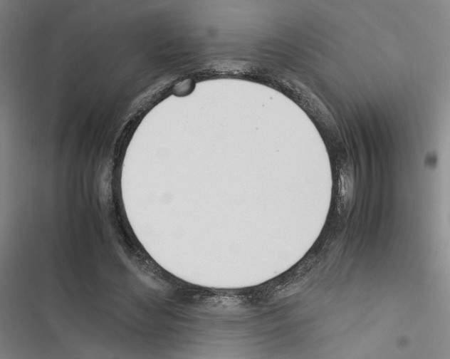 X0000116460492201001201303