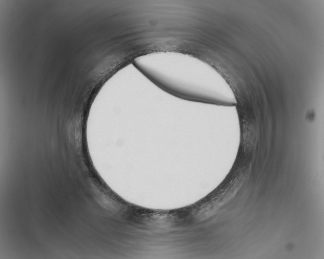 X0000116460493201001201303