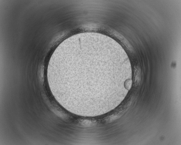 X0000116460494201001201303