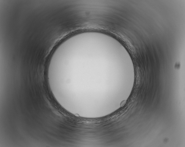X0000116460496201001201303
