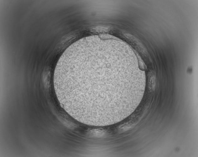 X0000116460498201001201303