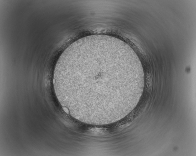 X0000116460499201001201303