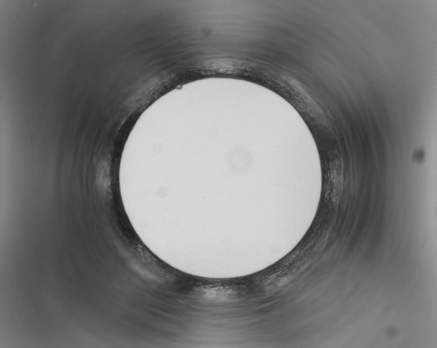 X0000116460500201001201303