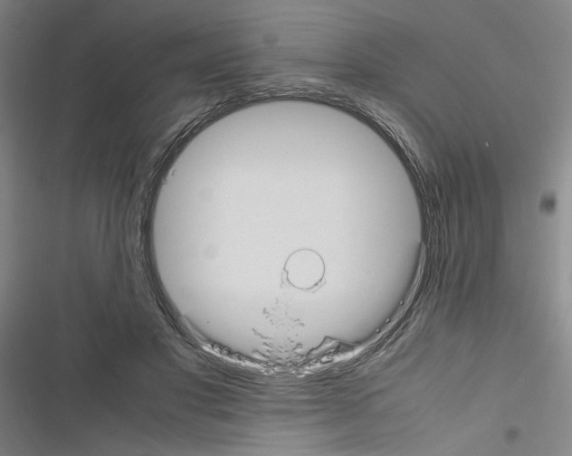 X0000116460501201001201303