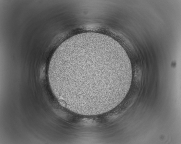 X0000116460502201001201303