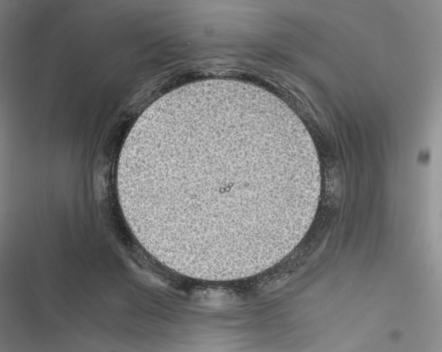 X0000116460503201001201303