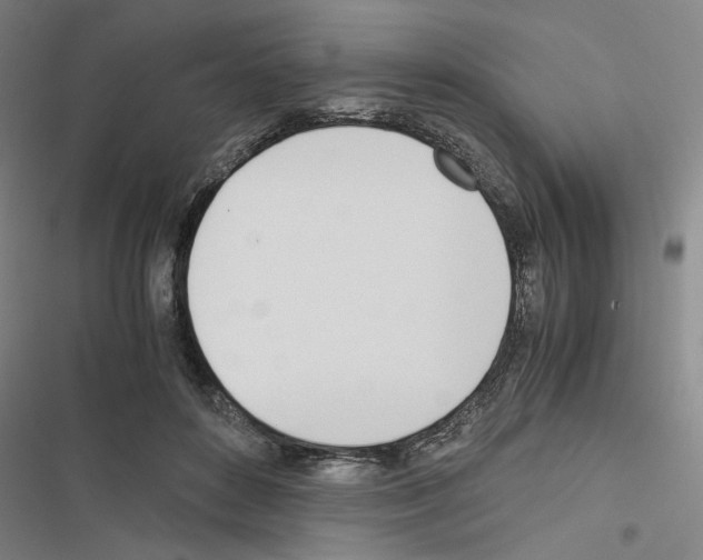 X0000116460504201001201303