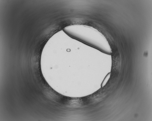 X0000116460505201001201303