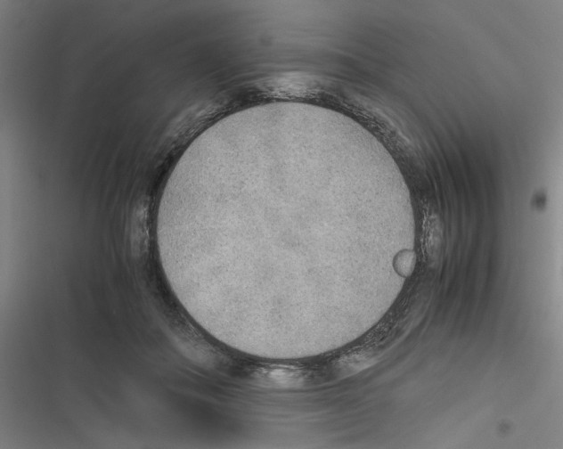 X0000116460506201001201303