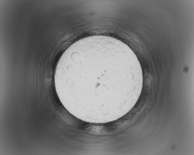 X0000116460507201001201303