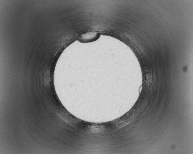 X0000116460508201001201303