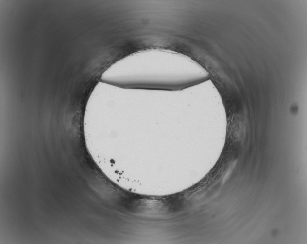 X0000116460509201001201303