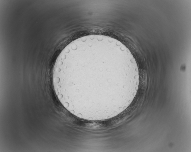 X0000116460511201001201303