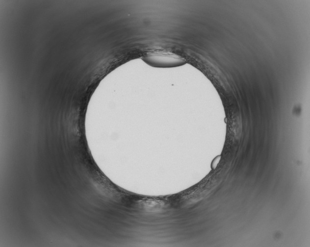 X0000116460512201001201303