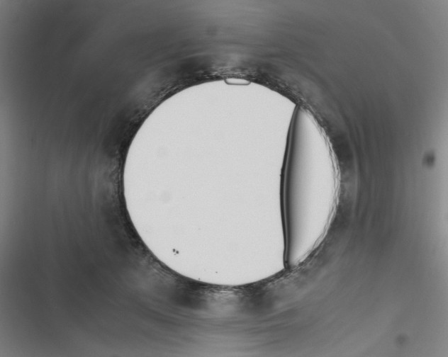 X0000116460513201001201303