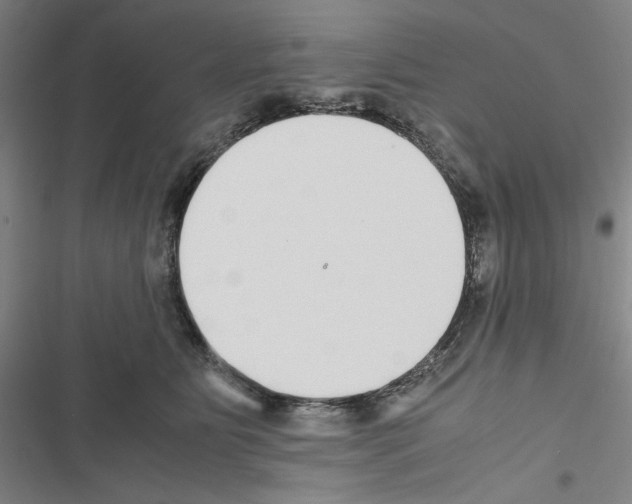 X0000116460515201001201303