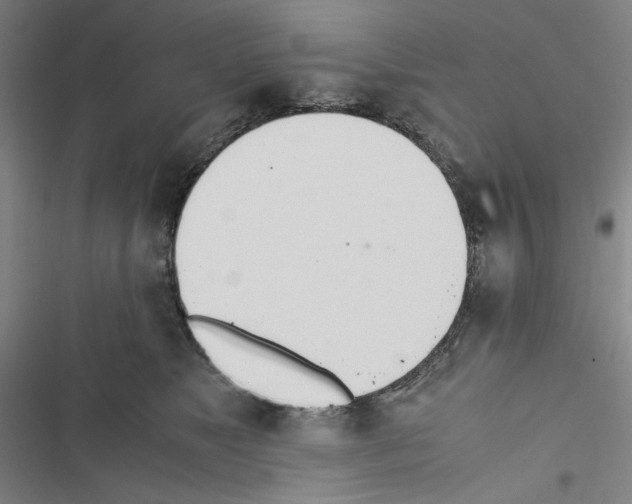 X0000116460517201001201303