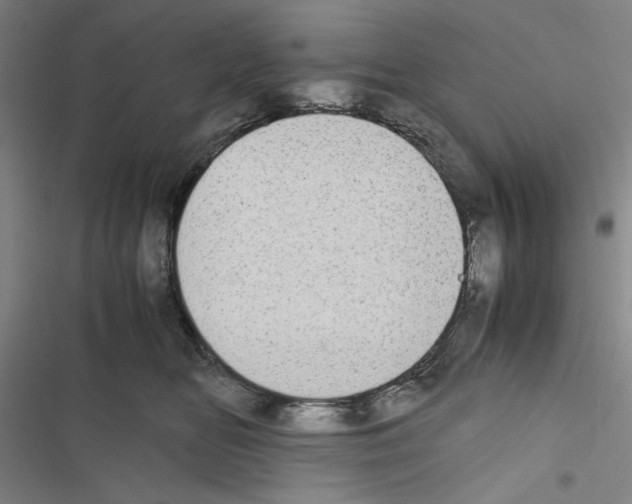 X0000116460518201001201303
