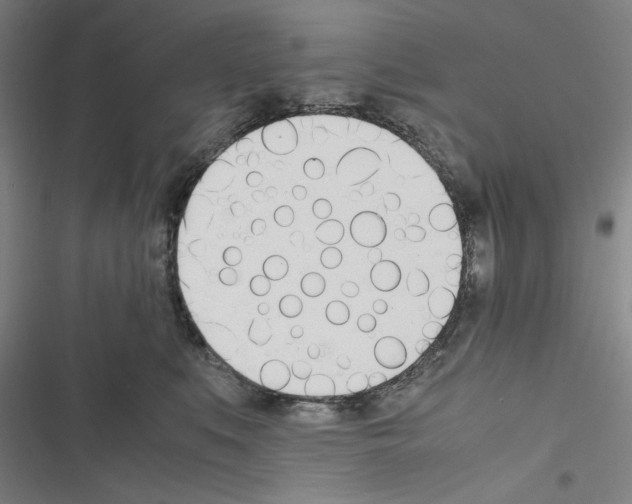 X0000116460519201001201303