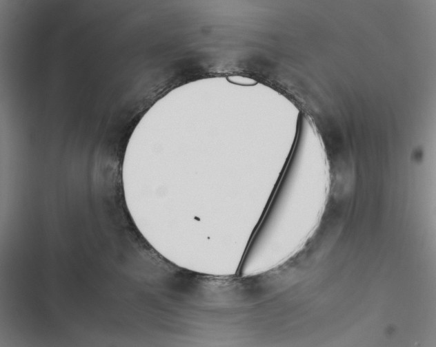X0000116460521201001201303
