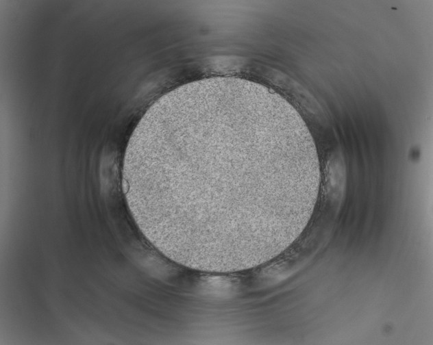 X0000116460522201001201303