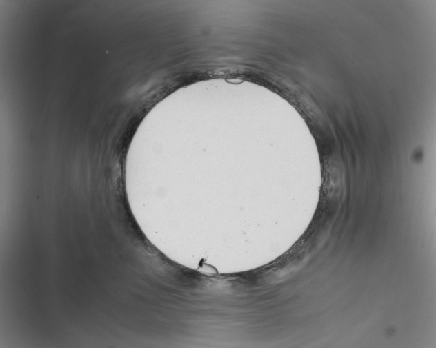 X0000116460523201001201303